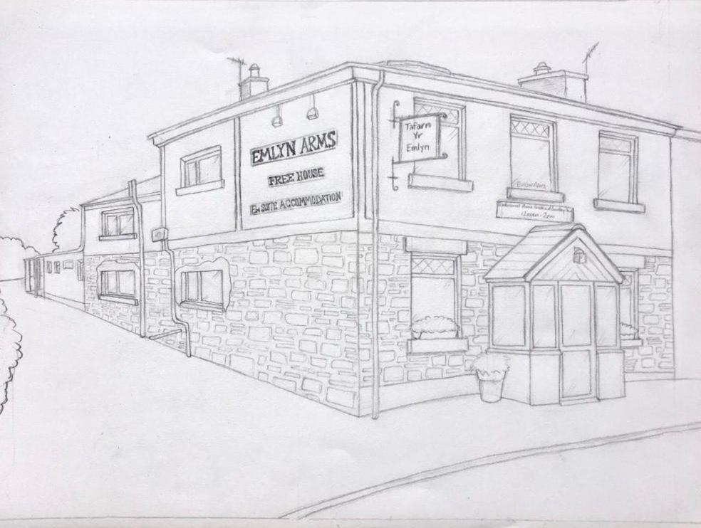 Emlyn Arms Bed & Breakfast Llanarthney Bagian luar foto