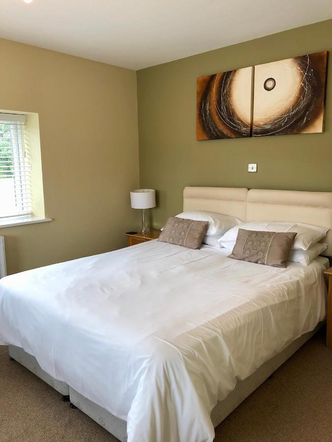 Emlyn Arms Bed & Breakfast Llanarthney Bagian luar foto