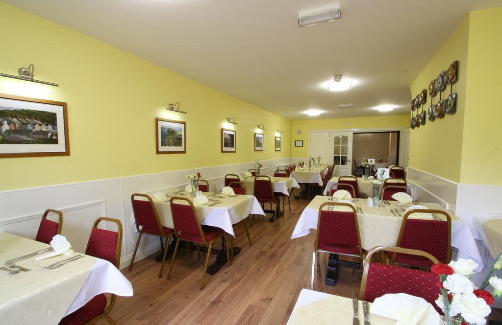 Emlyn Arms Bed & Breakfast Llanarthney Bagian luar foto