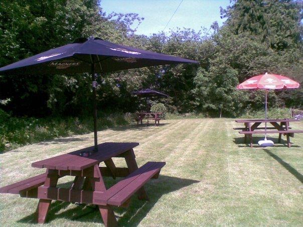 Emlyn Arms Bed & Breakfast Llanarthney Bagian luar foto