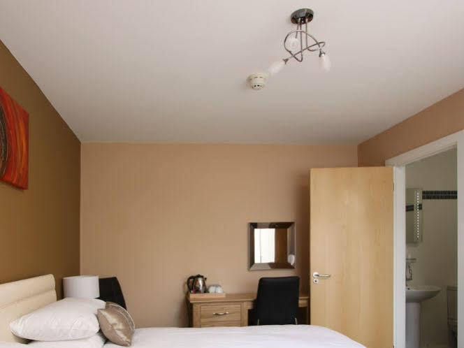 Emlyn Arms Bed & Breakfast Llanarthney Bagian luar foto